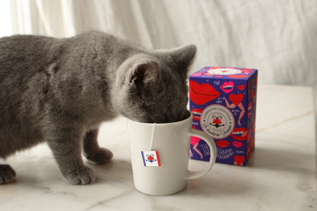 édition limitée Le chocolat des français et Compagnie coloniale