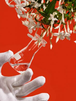 SIllage Paris x Bon march&eacute;