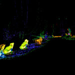 lumieres-sauvage-safari-22