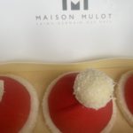 Mulot hiver 2023 (1)